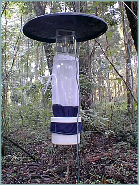 Adult Mosquito Surveillance